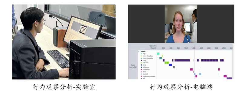 行为观察.jpg